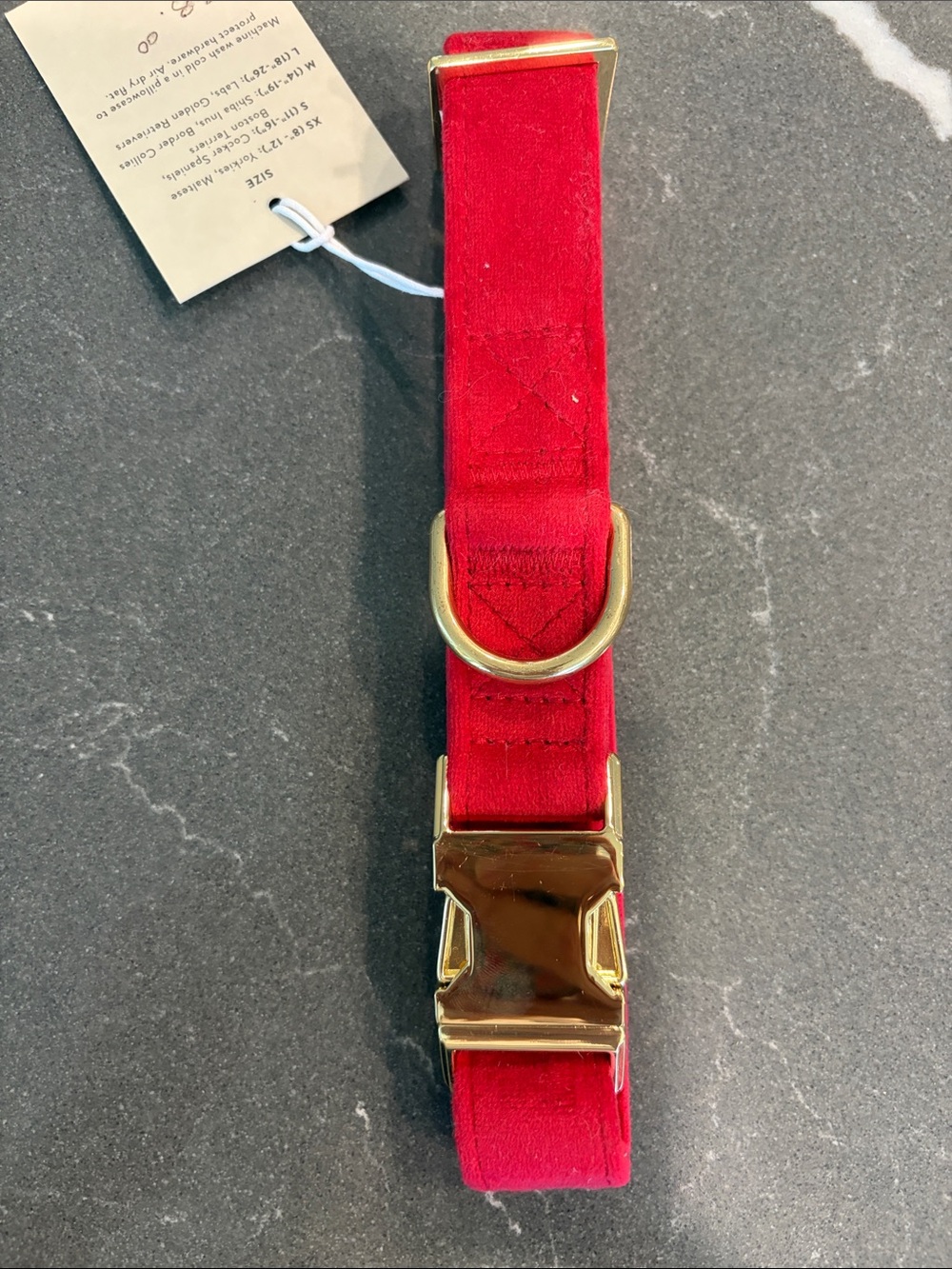 Foggy Dog Red Velvet collar with Gold Buckle